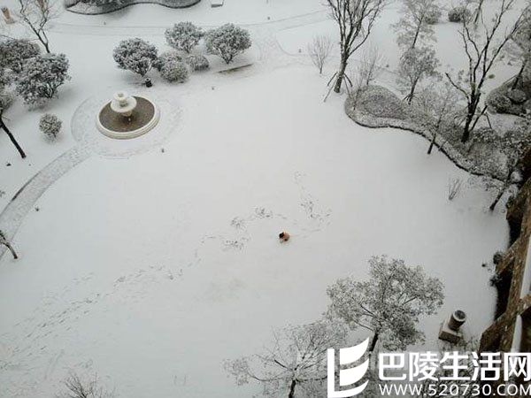 焦俊艳哭戏震到高以翔