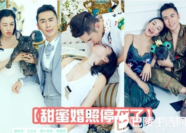 钟丽缇张伦硕最新婚照