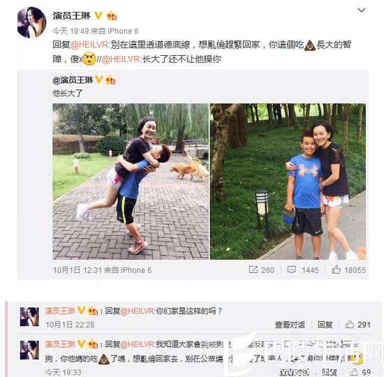 王琳遭网友不雅留言