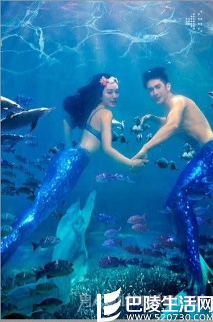 钟丽缇张伦硕喜帖曝光 钟丽缇张伦硕喜帖曝光