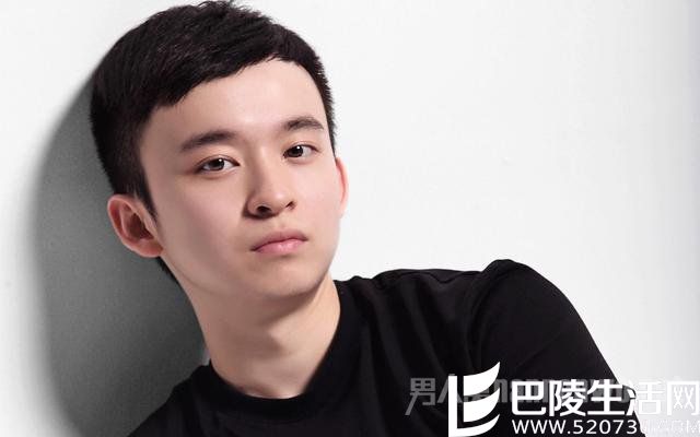 董子健背景如何