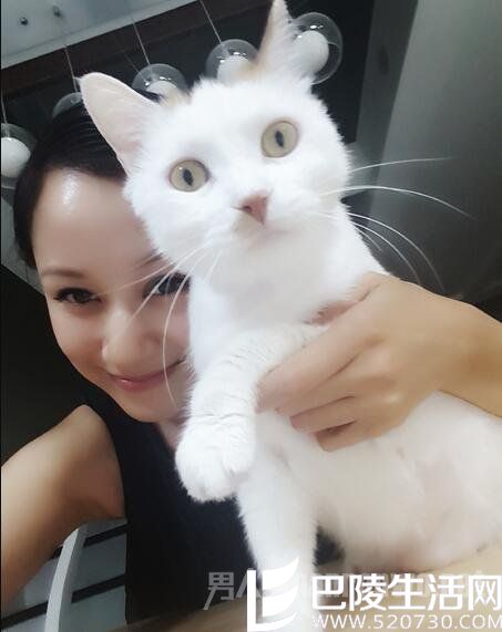 倪虹洁抱猫咪合影