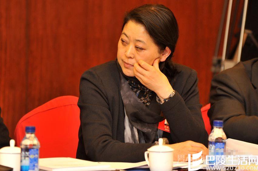 倪萍情史 倪萍情史