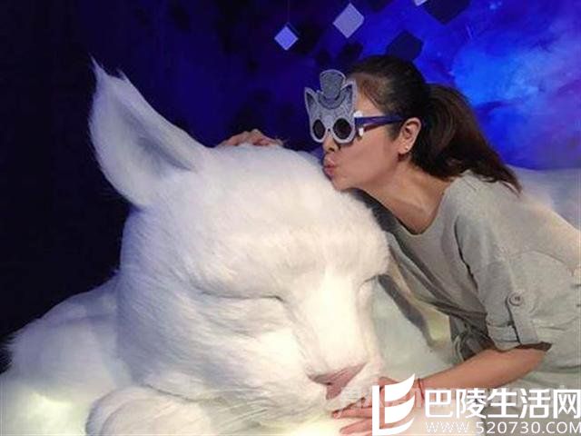 林心如孕肚照片曝光 林心如孕肚照片曝光