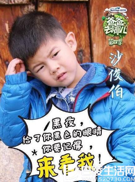 沙溢儿子安吉剧照