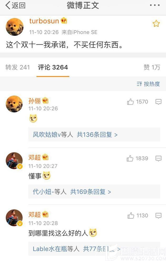 孙俪承诺双十一什么也不买