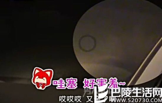 杨紫男朋友背景 杨紫男朋友背景