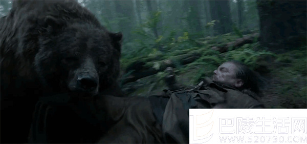 小李子荒野猎人打斗场面