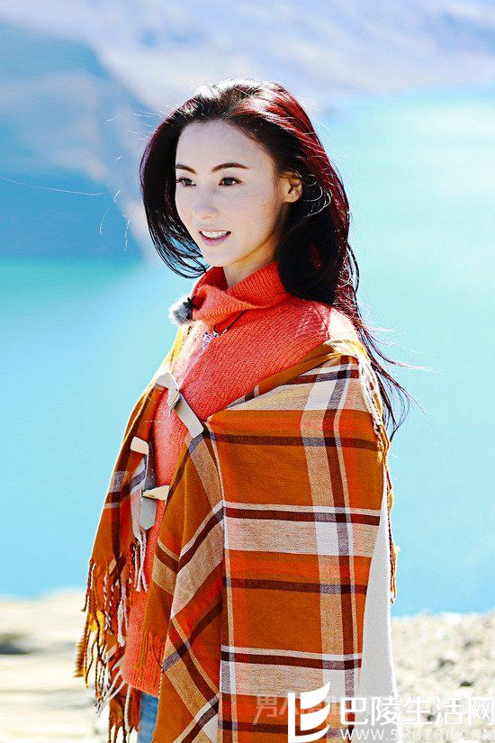 张柏芝自称很抢手