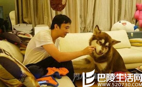 王思聪逗狗 王思聪逗狗