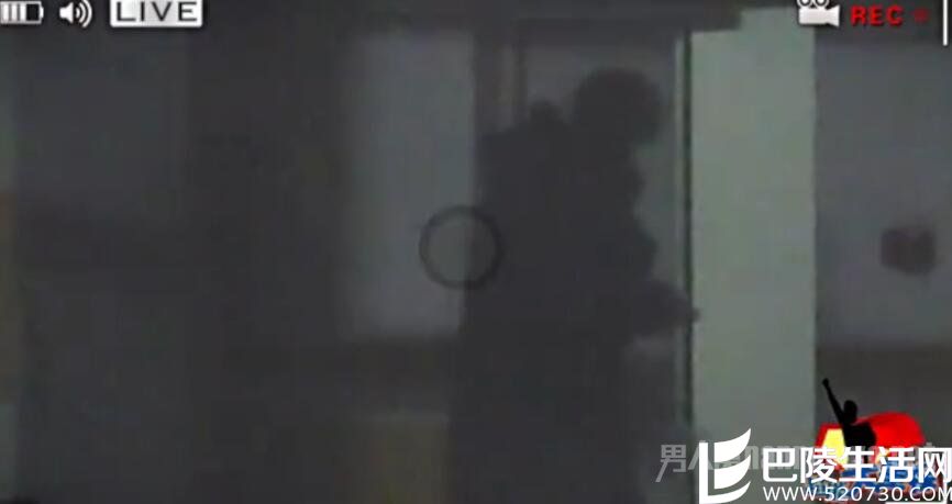 彭冠英张含韵同行 彭冠英张含韵同行