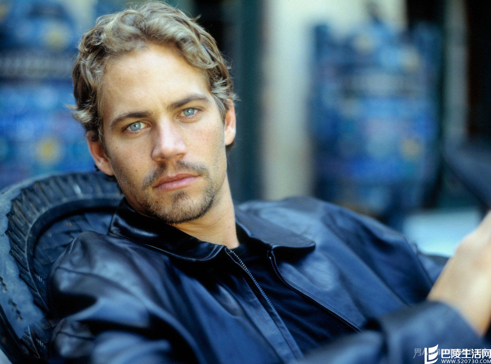 速度与激情演员