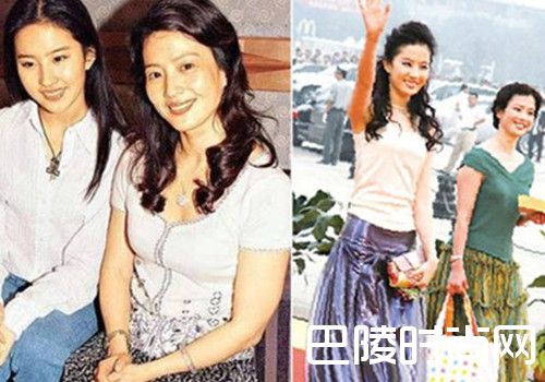 陈金飞刘晓莉照片