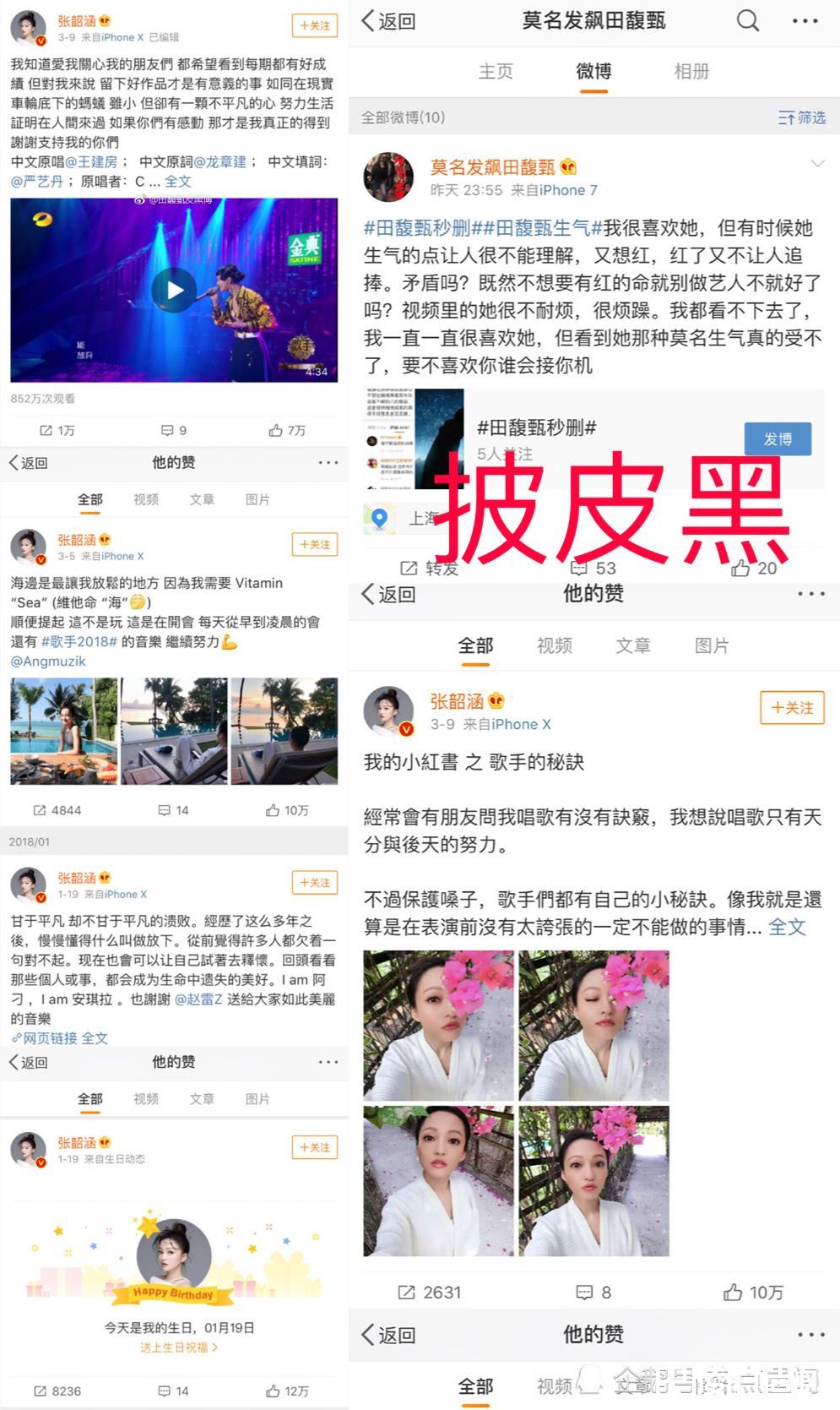 张韶涵招黑截图