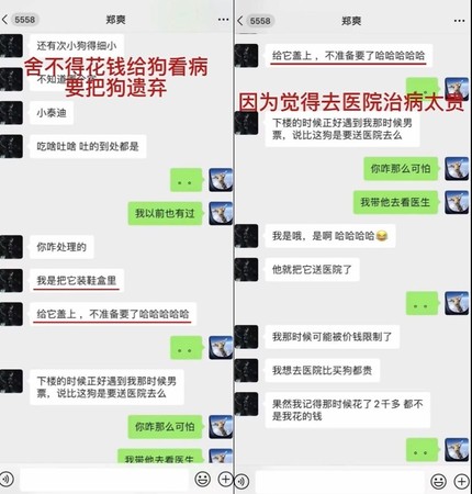 张恒爆料郑爽。 