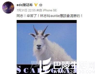 陈冠希暗讽代理人是代罪羊