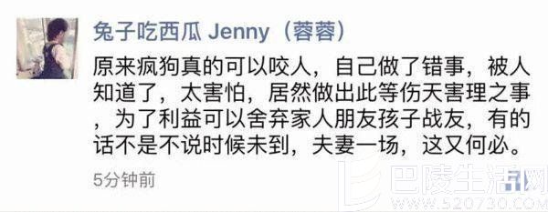 马蓉骂王宝强是疯狗