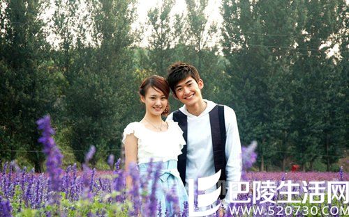 张翰郑爽众望所归的恋情