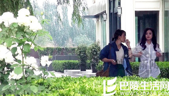 赵丽颖调整内衣