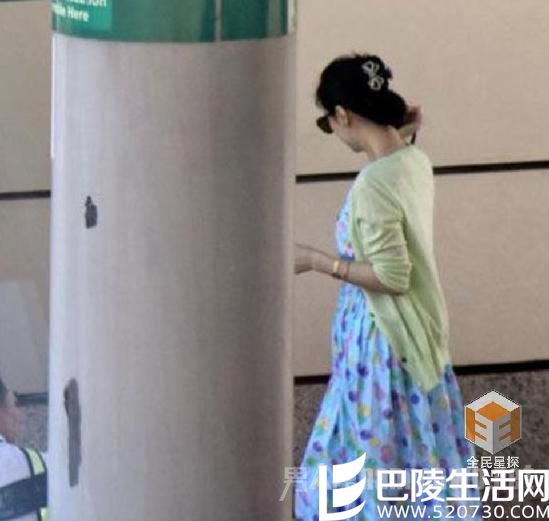 范冰冰怀双胞胎图片被拍 范冰冰怀双胞胎图片被拍