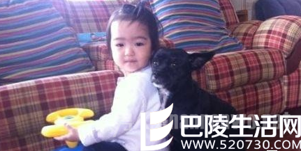 张嘉译女儿和狗玩耍