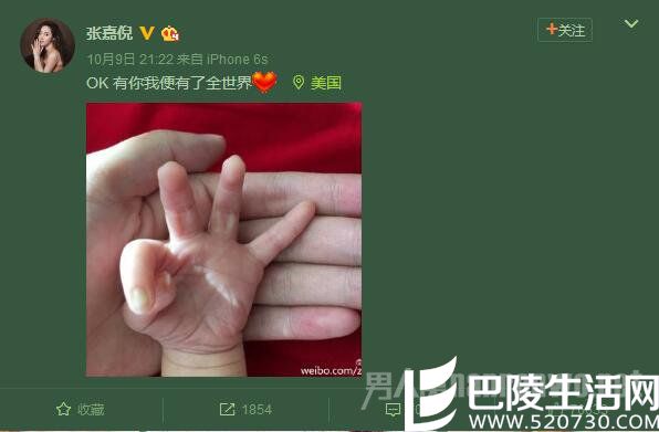 张嘉倪微博截图