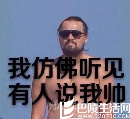 小李子的表情包