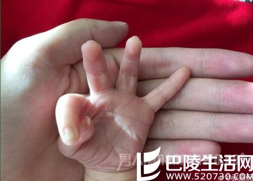 张嘉倪晒儿子小手