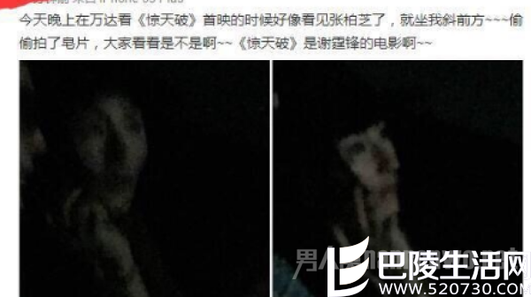 张柏芝谢霆锋 张柏芝谢霆锋