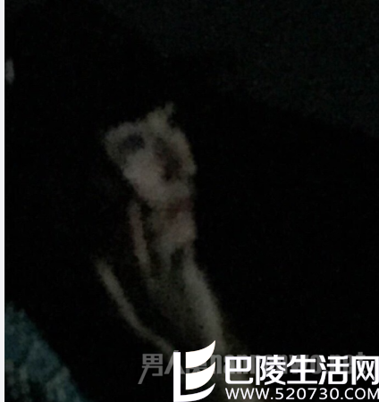 张柏芝谢霆锋还有联系吗 张柏芝谢霆锋还有联系吗