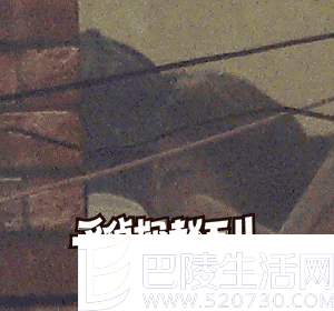 孙集斌贾玲亲吻