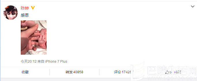 陈赫发微博喜当爹