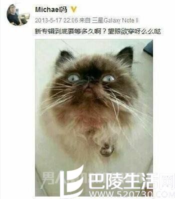 冯轲的猫 冯轲的猫