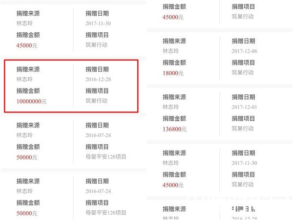 林志玲捐款截图