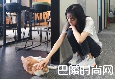 杨幂爱抚猫猫照片