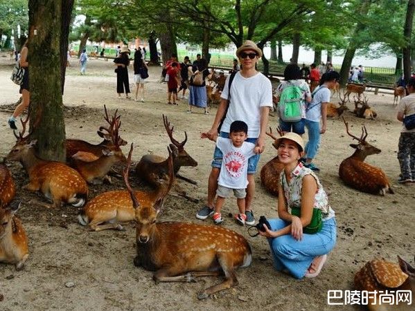 张家慧老公孩子照片