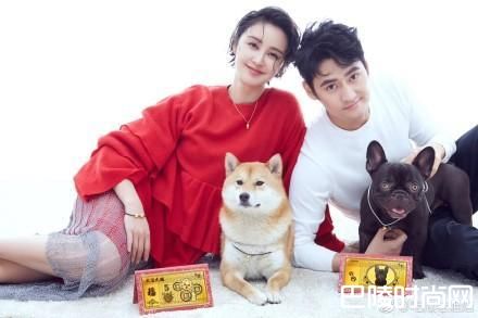 袁弘张歆艺照片