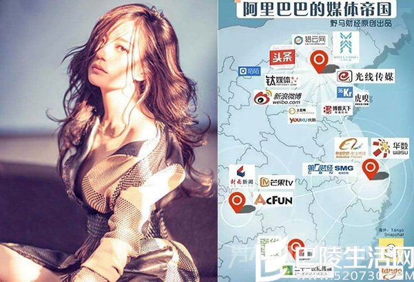 赵薇的靠山有多硬？