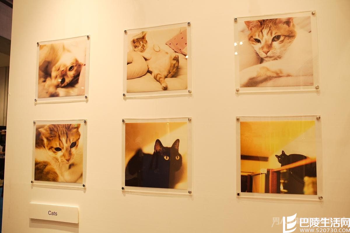 朱孝天摄影作品