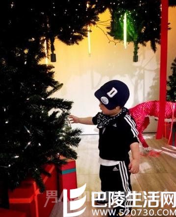 小春子侧面 小春子侧面