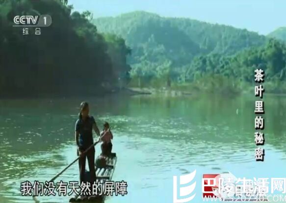 今日说法20160523茶叶里的秘密 崇左市边防警方破获贩毒案件