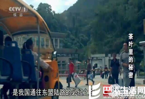 今日说法20160523茶叶里的秘密 崇左市边防警方破获贩毒案件