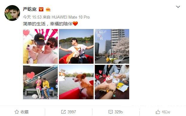 严屺宽老婆出游照片