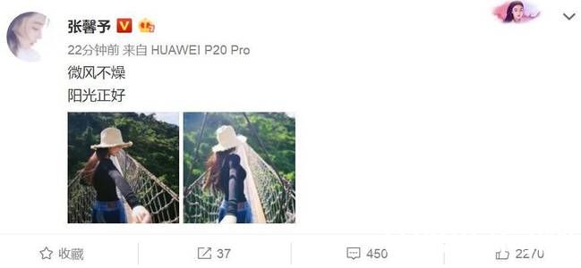 张馨予微博截图