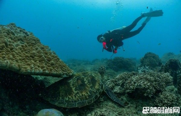 林依晨潜水
