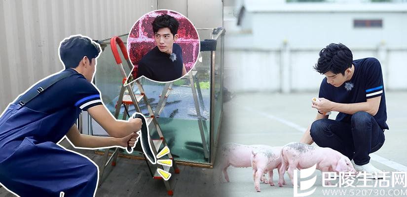 《我们战斗吧》昨晚在江苏卫视震撼开播 《我们战斗吧》昨晚在江苏卫视震撼开播