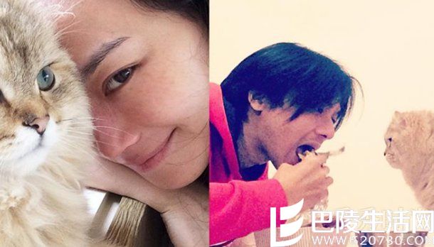 舒淇和冯德伦约会