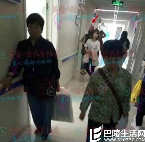 郑爽肠胃炎入院 郑爽肠胃炎入院