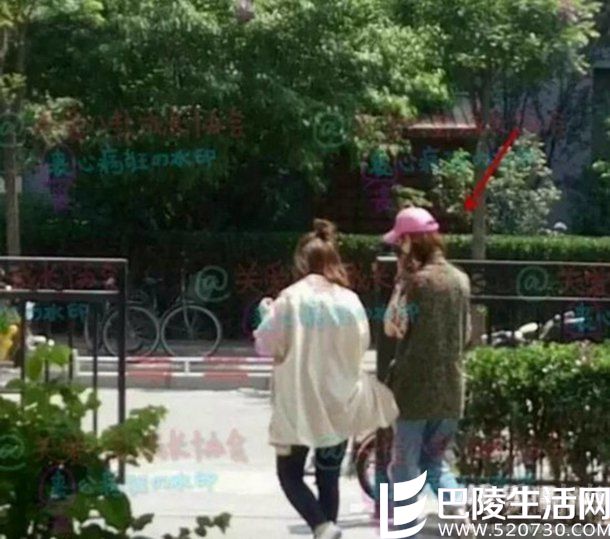 郑爽和助理 郑爽和助理