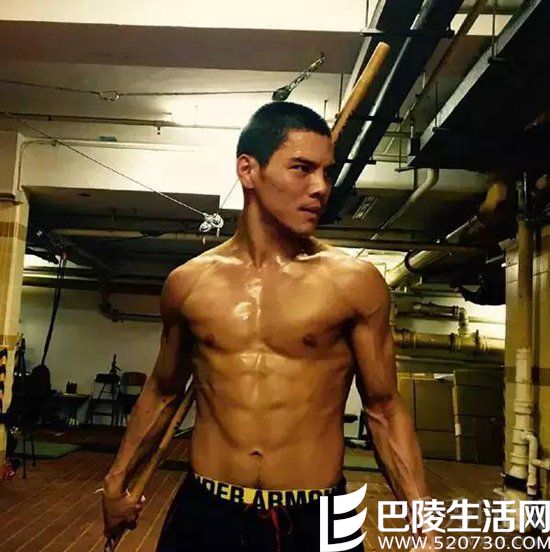 向佐肌肉图 向佐肌肉图